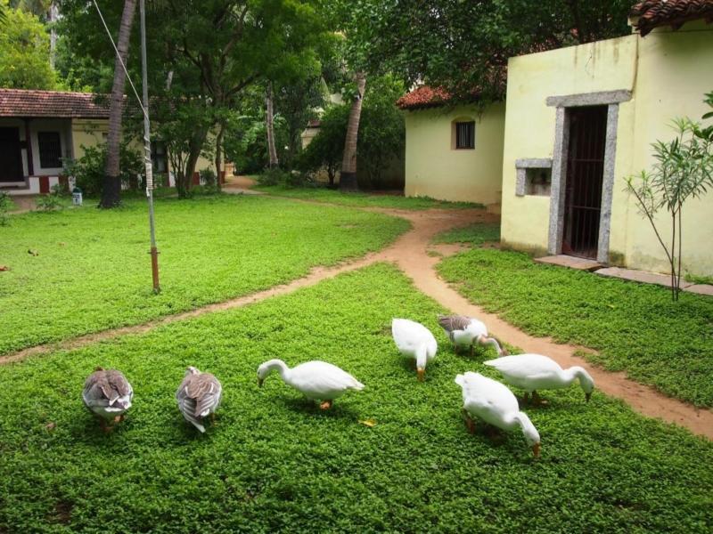 Indeco Hotels Swamimalai Kumbakonam Exterior foto